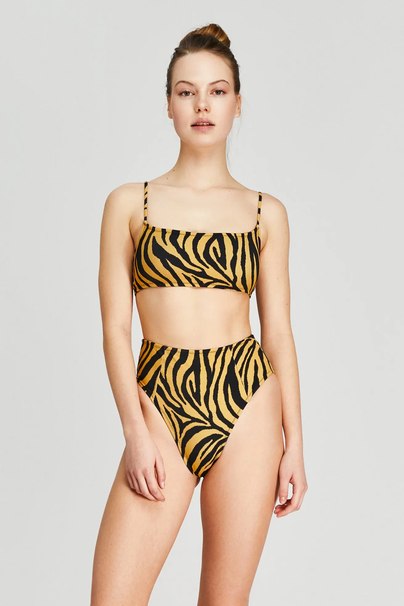 Color Zebra Kadın Bikini Altı