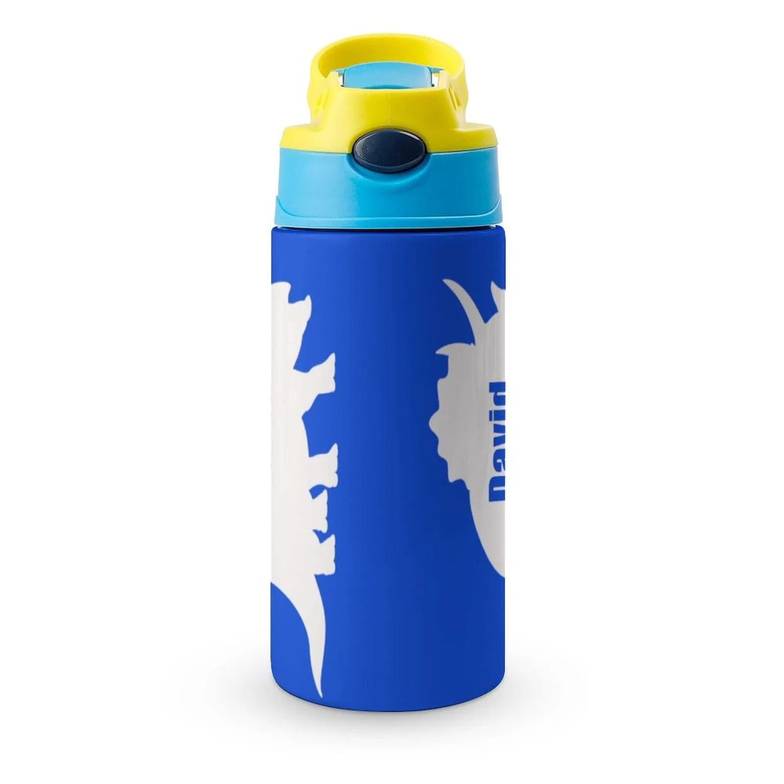 Custom Name Personalised Dinosaur Stainless Steel Kids Drink Bottles 500ml Water Bottle