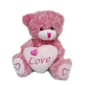 Love Heart Stuffed Animal Toys Teddy Bear Plush with Lover's Gifts Pink 5.5